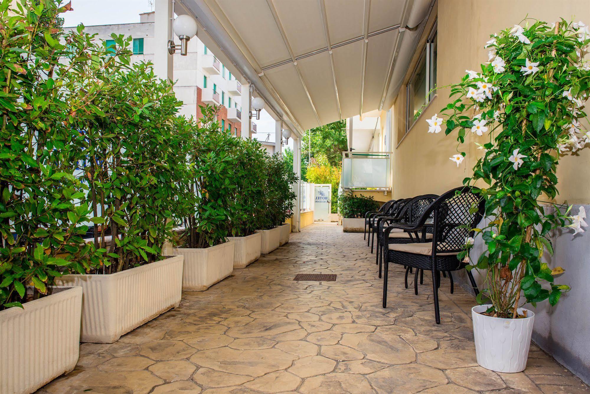 Hotel Caggiari Сенігаллія Екстер'єр фото